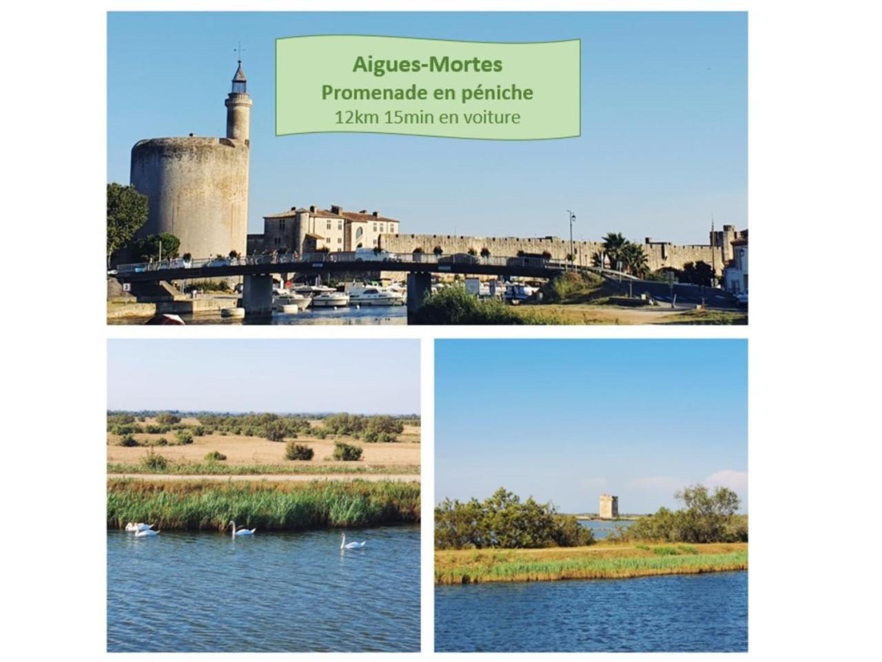 T2 Traversant Familial Cap Sud Parking Plages - Rossiconciergerie - Linge En Option La Grande Motte Exterior foto